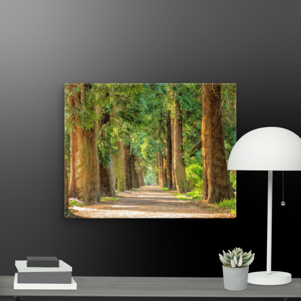 A walk through the woods canvas - Image 10