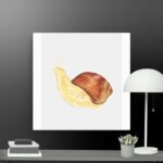 Snail canvas