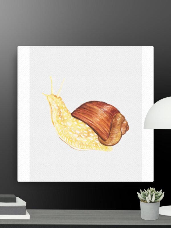 Snail canvas - 12×12