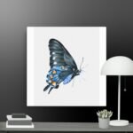 Butterfly Thin canvas