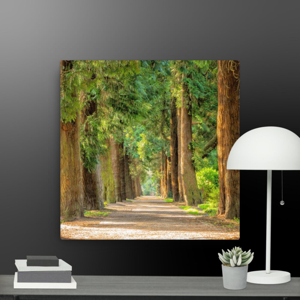 A walk through the woods canvas