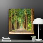 A walk through the woods canvas