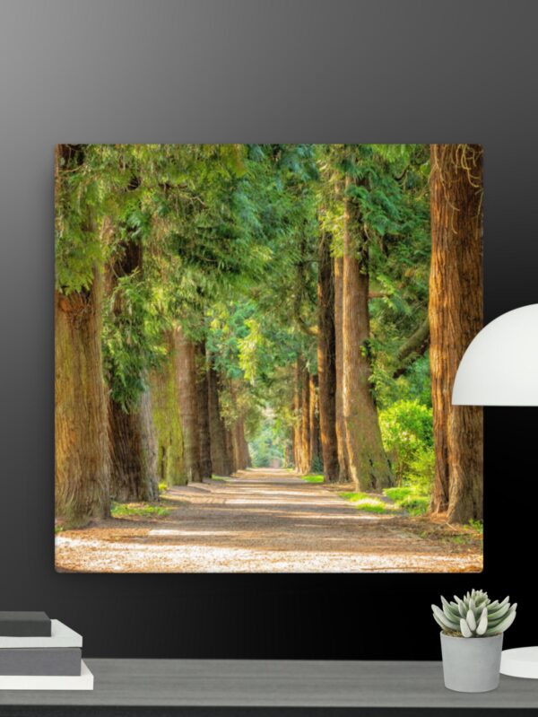 A walk through the woods canvas - 12×12