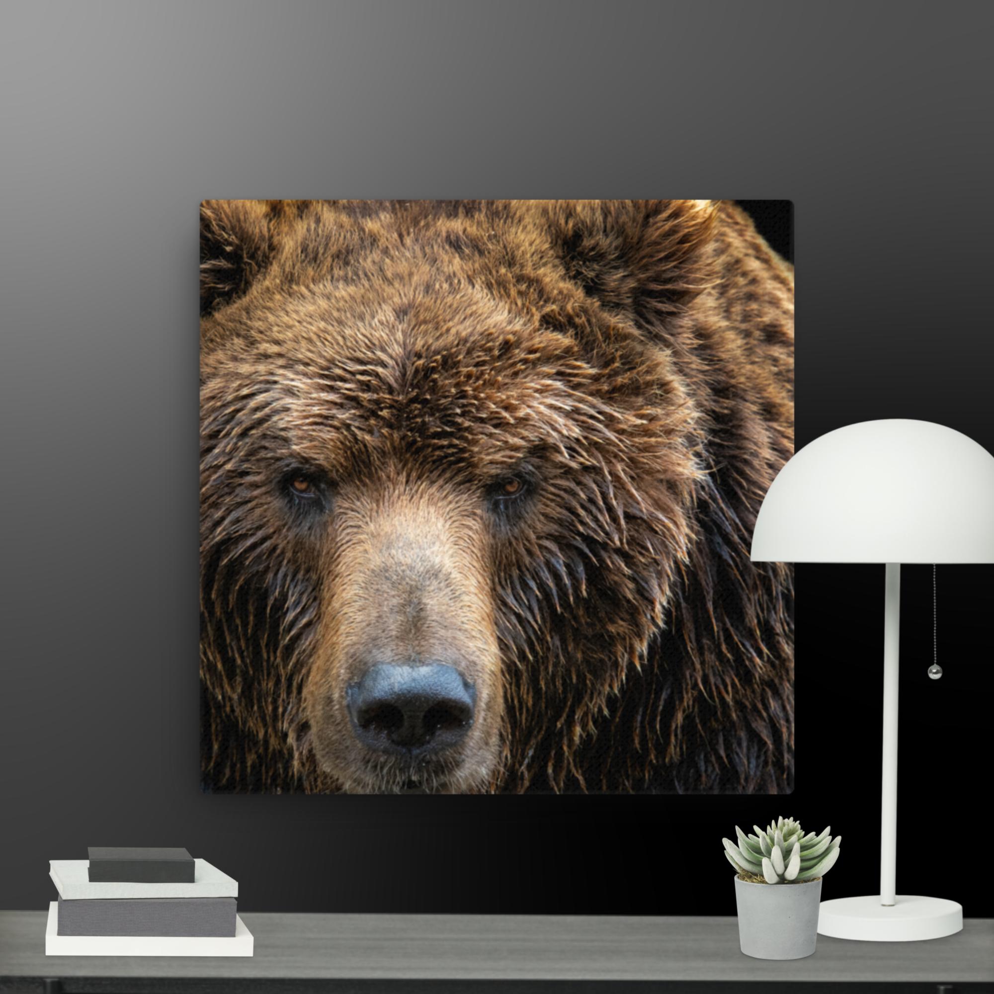 Grizzly Bear canvas