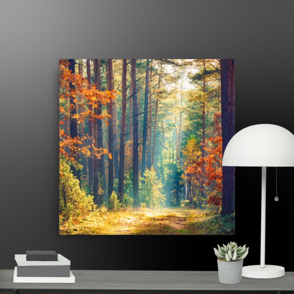 The Woods canvas
