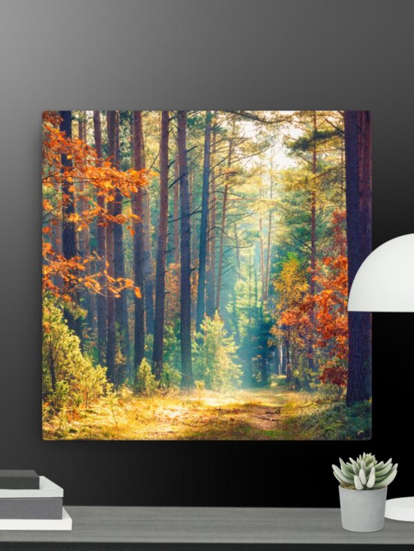 The Woods canvas - 12×12