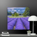 Lavender canvas