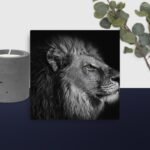 The lion canvas