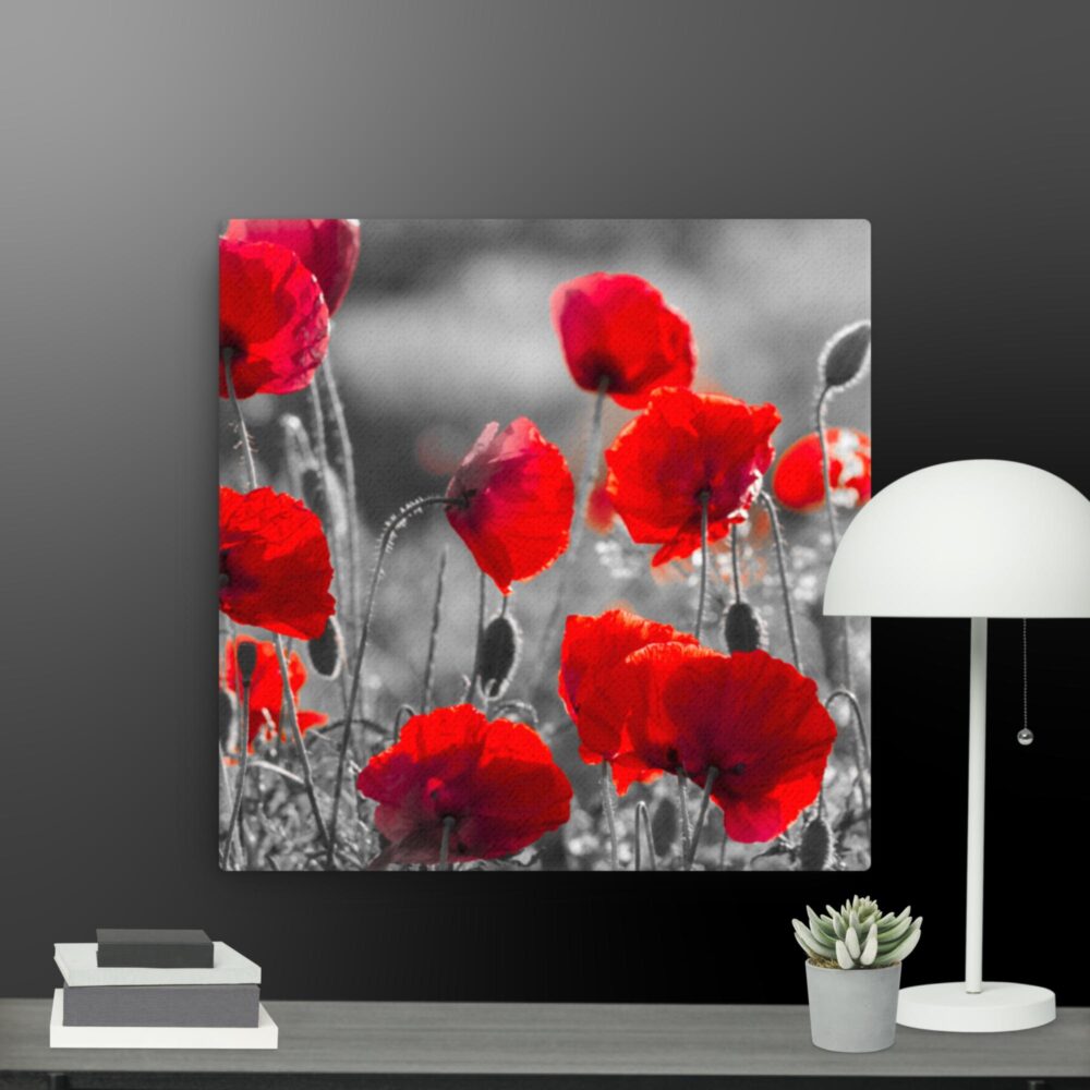 Poppy scene canvas