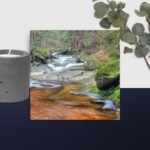 River scene canvas