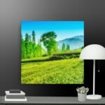 Green scene canvas