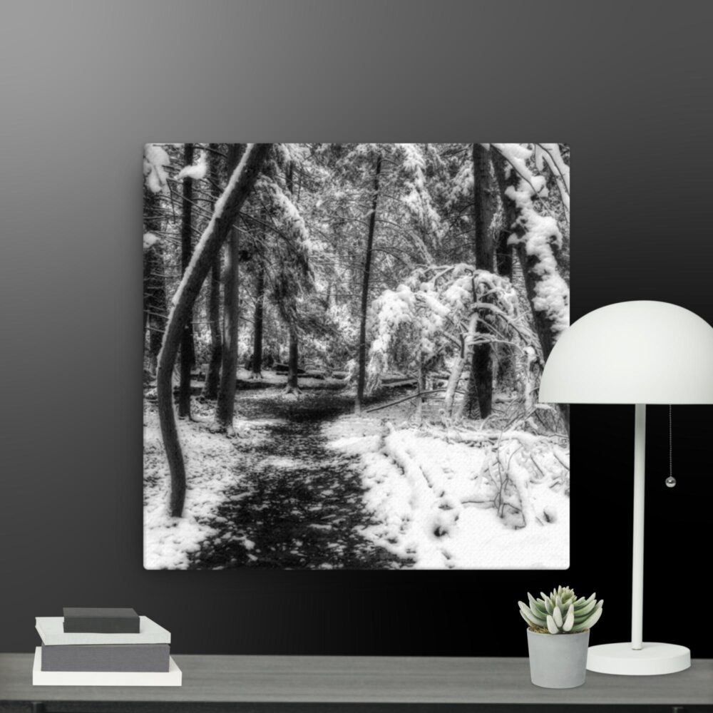 Snowy forest canvas