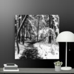 Snowy forest canvas