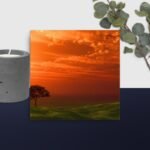 Orange skies canvas