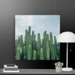 Cactus canvas
