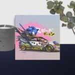 Sonic in car canvas