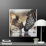 Zebra vs Lioness canvas
