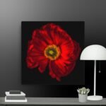 Red flower canvas
