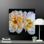 Roses canvas