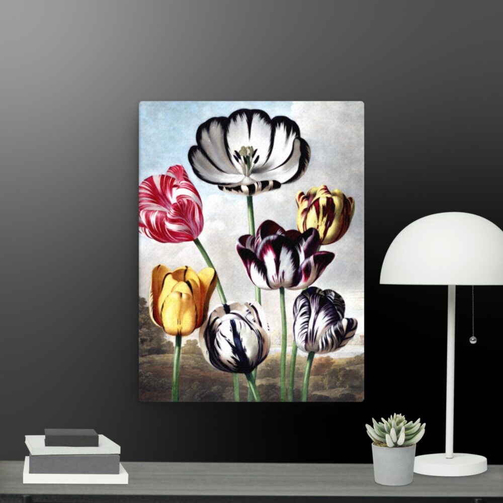 Blossoms in Bloom Thin canvas