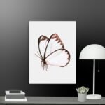 Butterfly canvas
