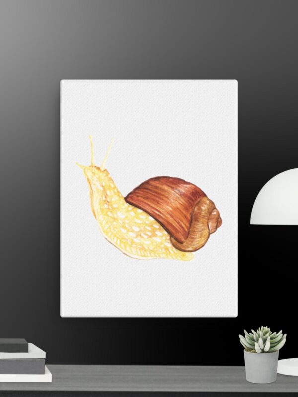 Snail canvas - 12×16