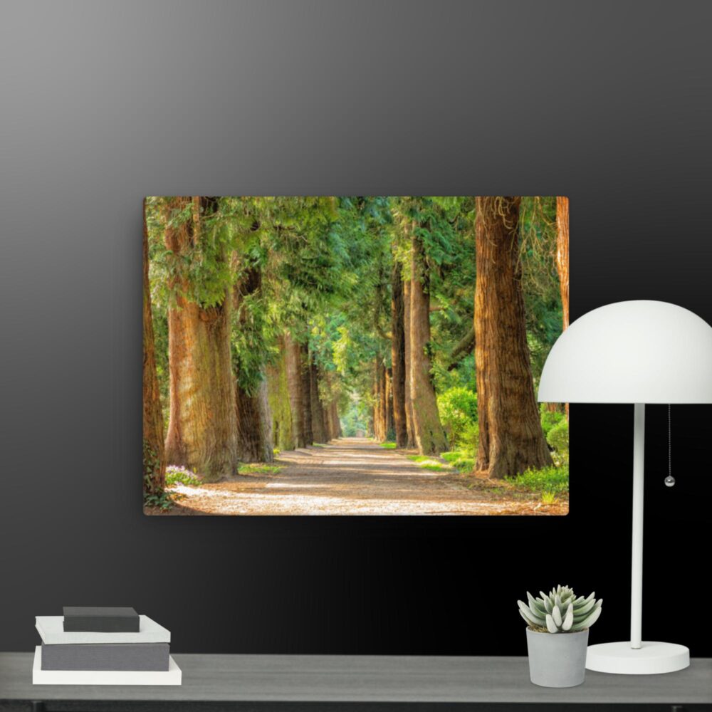 A walk through the woods canvas - Image 2
