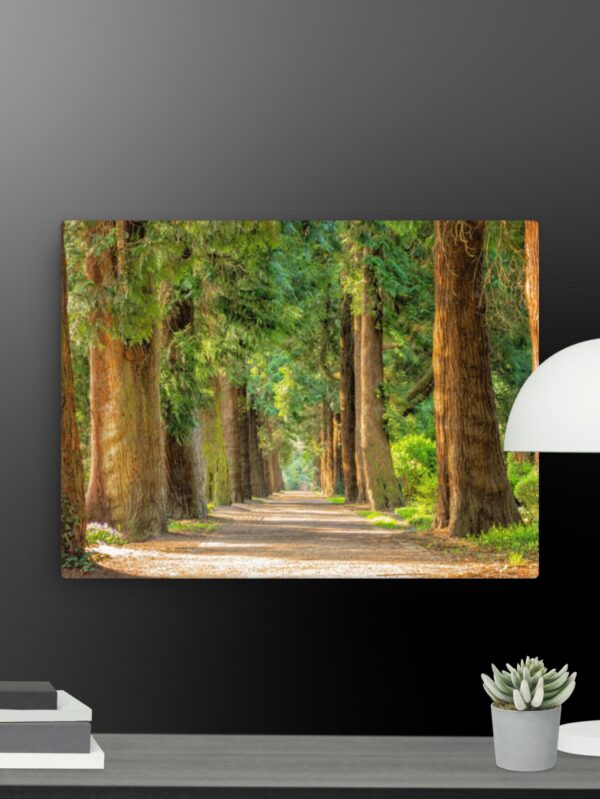 A walk through the woods canvas - 12×16