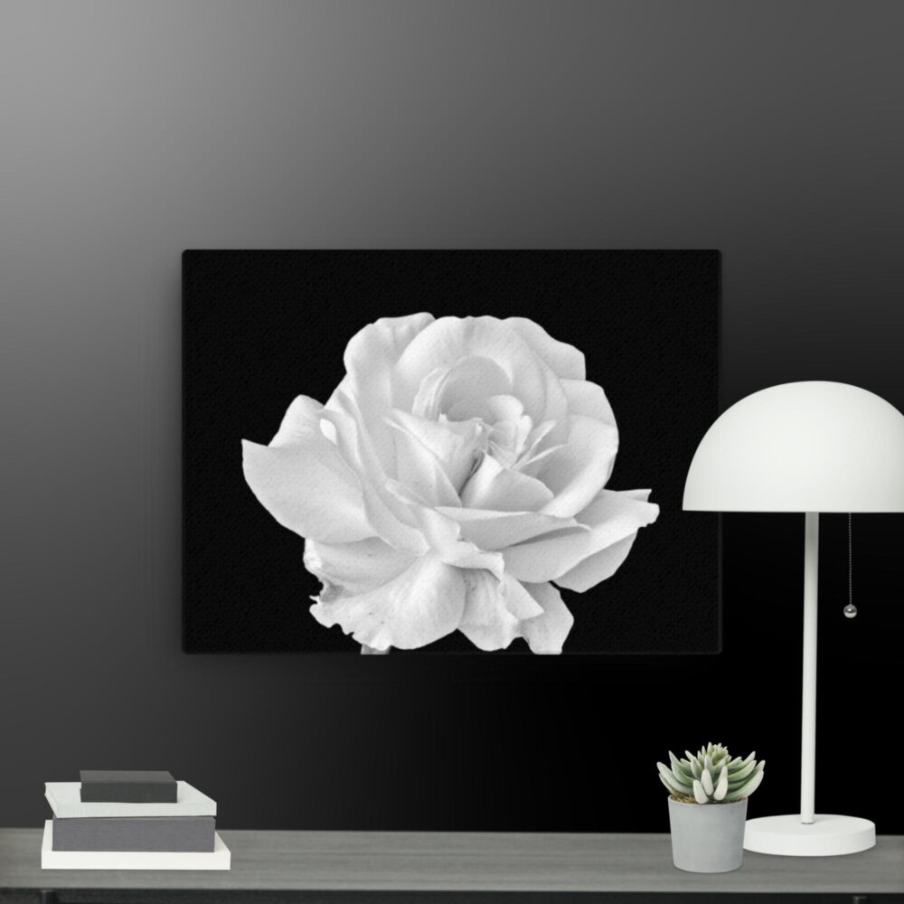 White rose canvas - Image 2