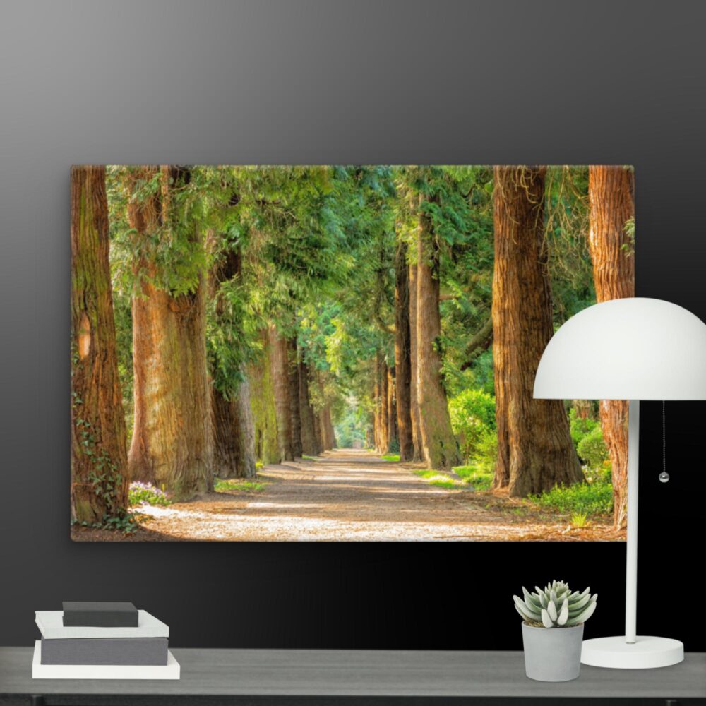 A walk through the woods canvas - Image 9