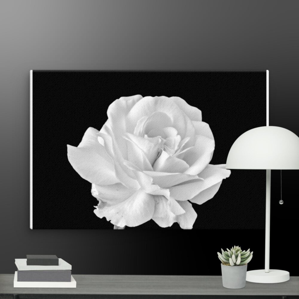 White rose canvas - Image 9