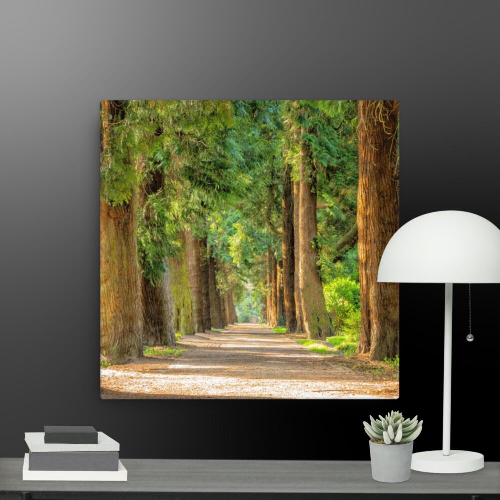 A walk through the woods canvas - Image 3