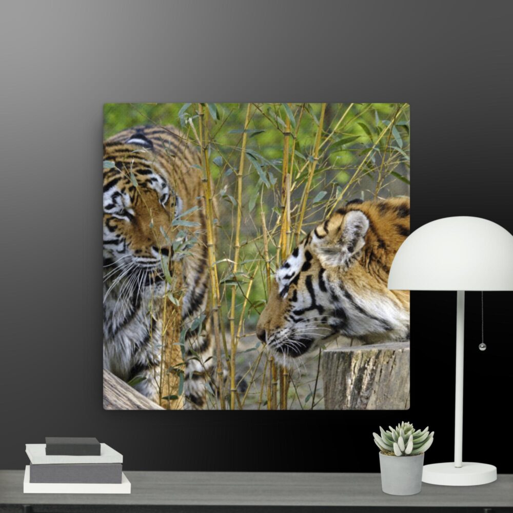Tiger Friends canvas - Image 3