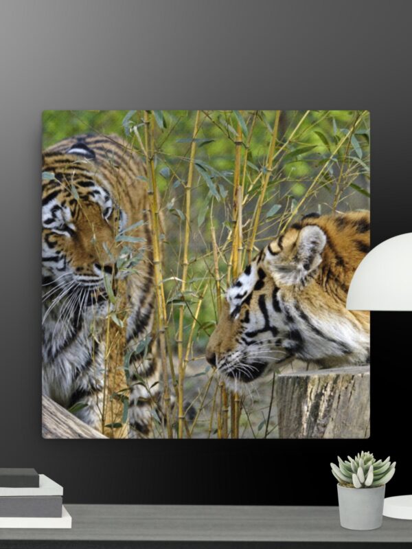 Tiger Friends canvas - 16×16