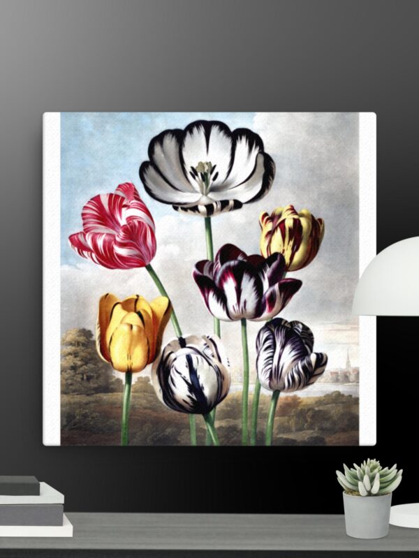 Tulip scene canvas - 16×16