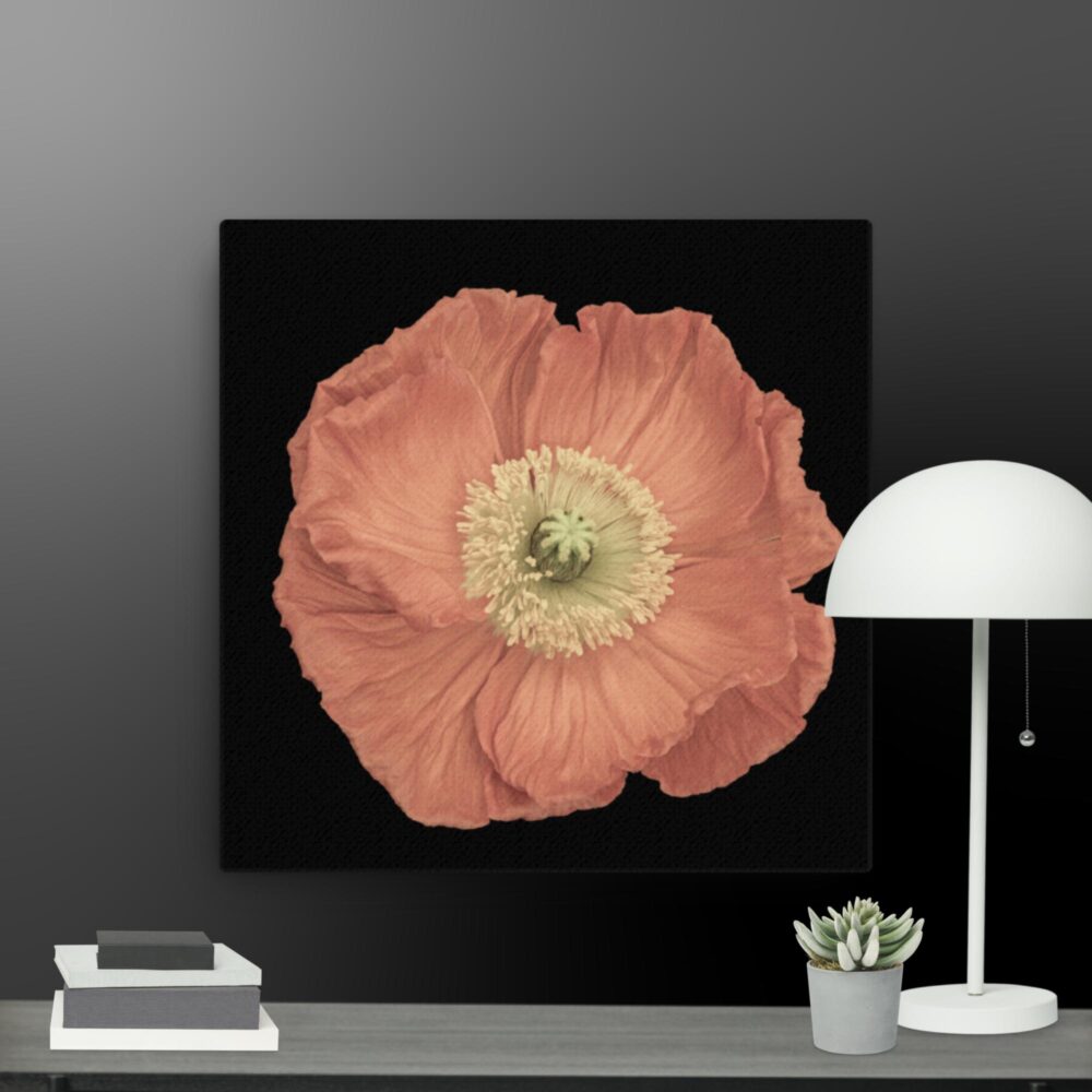 Pink flower canvas - Image 3