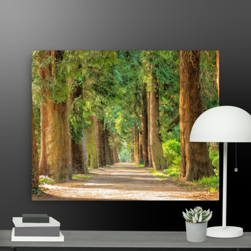A walk through the woods canvas - Image 4