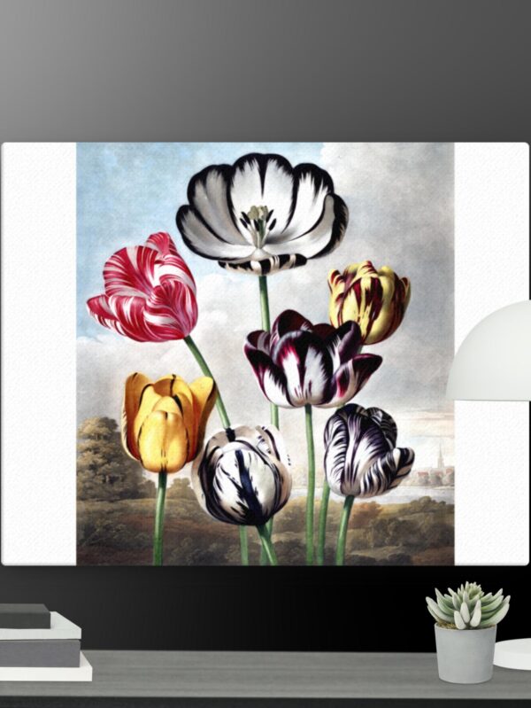 Tulip scene canvas - 16×20