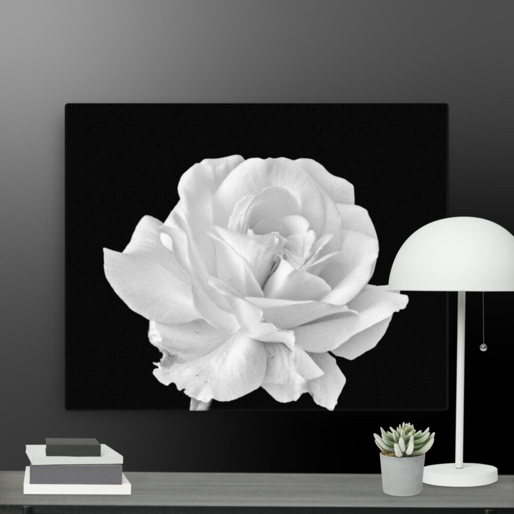 White rose canvas - Image 4