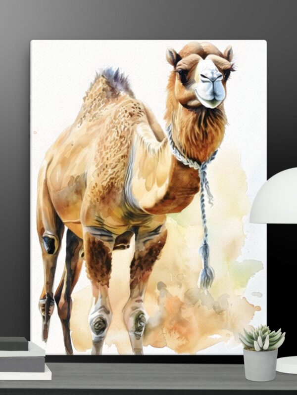 The Camel canvas - 18×24