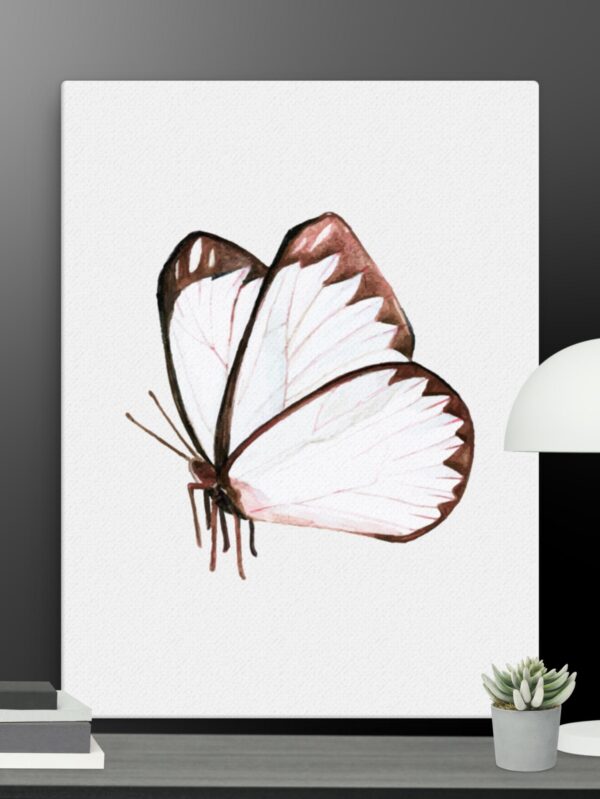 Butterfly canvas - 18×24