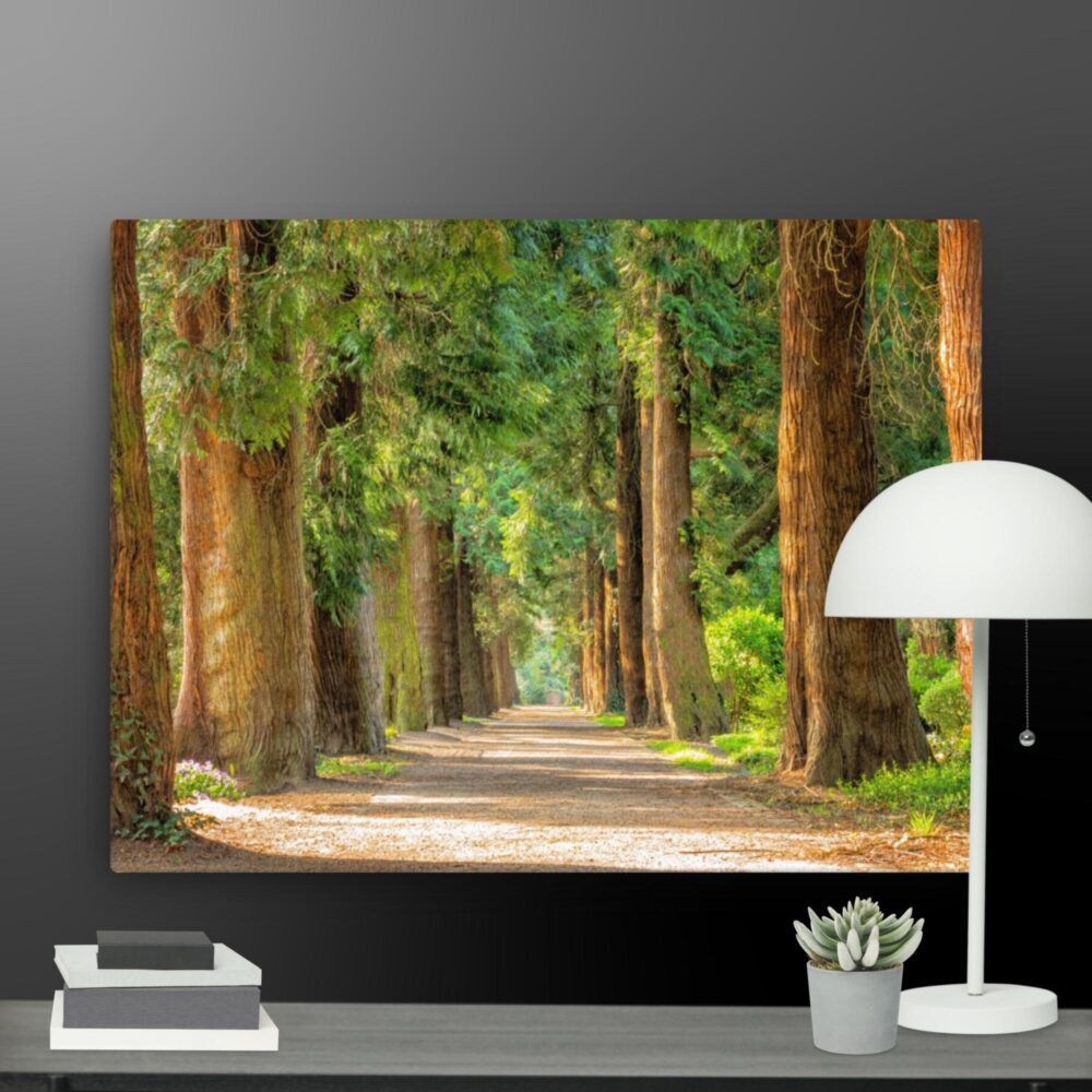 A walk through the woods canvas - Image 5