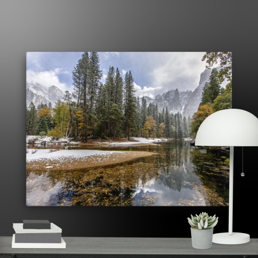 The forrest canvas - Image 5