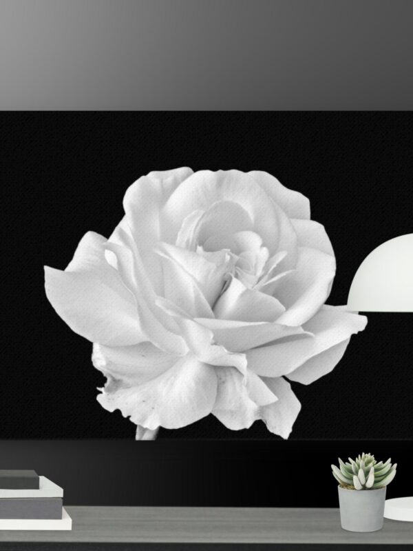 White rose canvas - 18×24