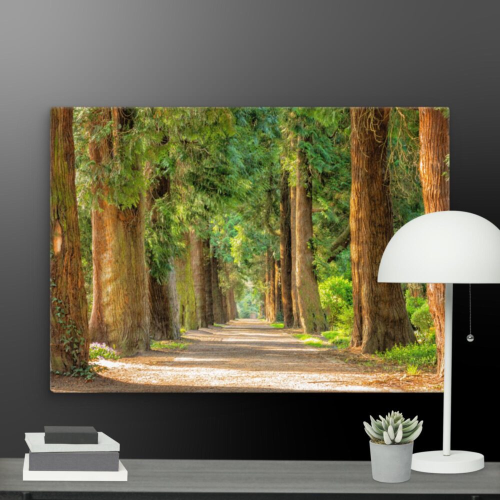 A walk through the woods canvas - Image 11