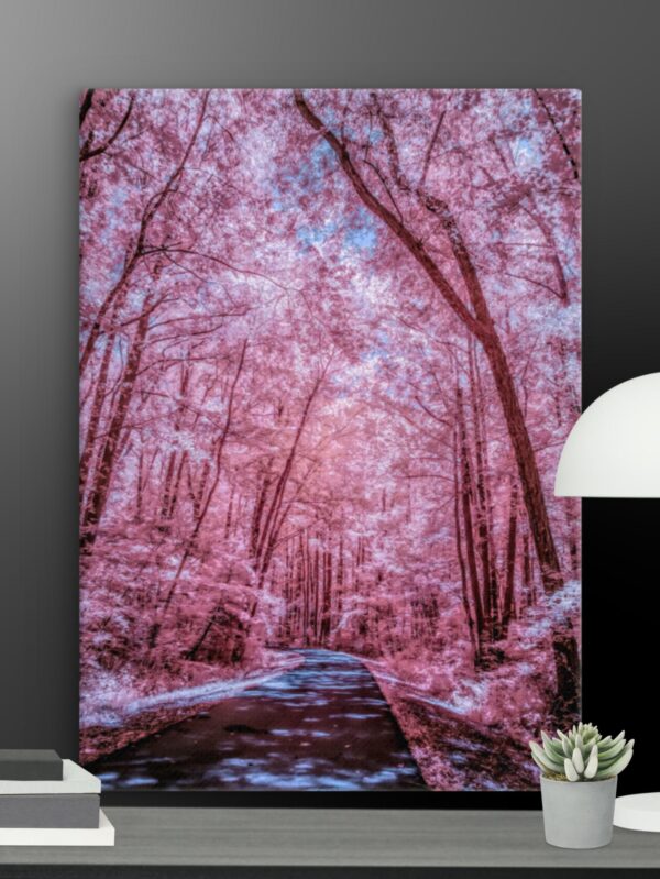 Pink blossom canvas - 20×28