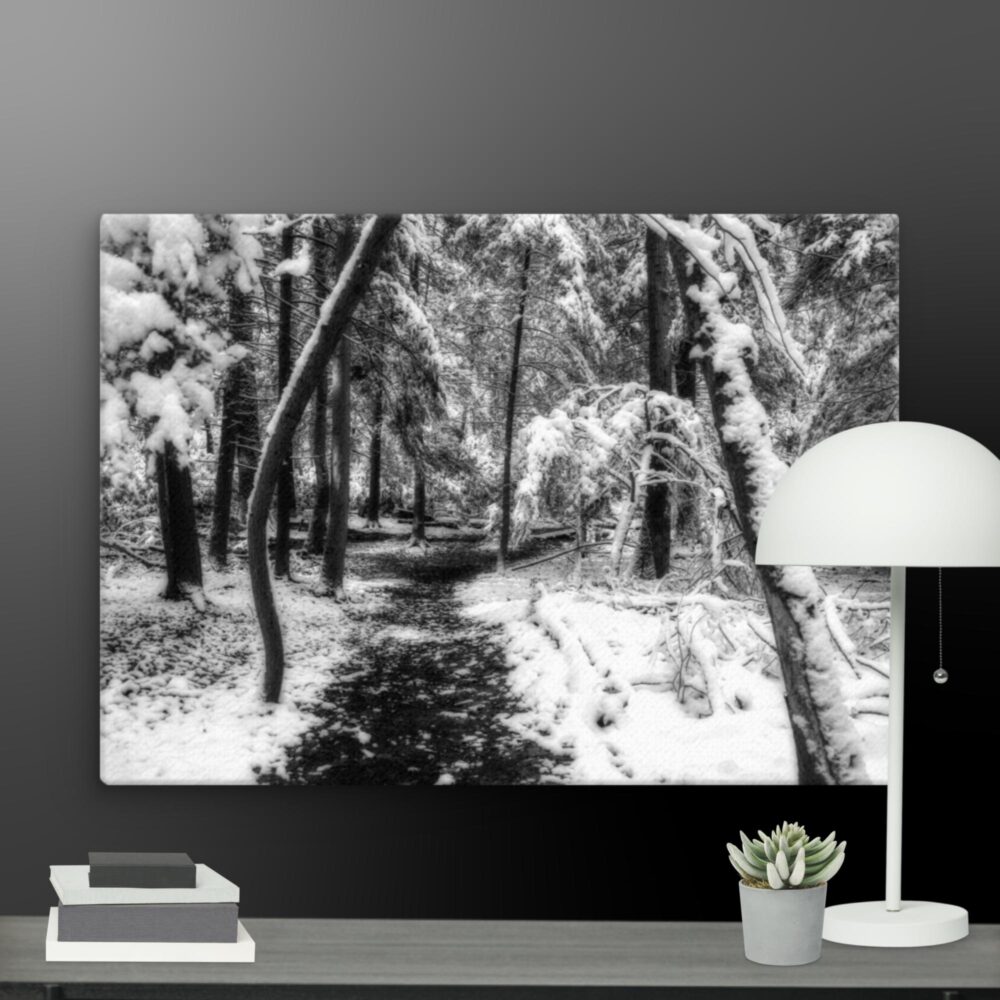 Snowy forest canvas - Image 11
