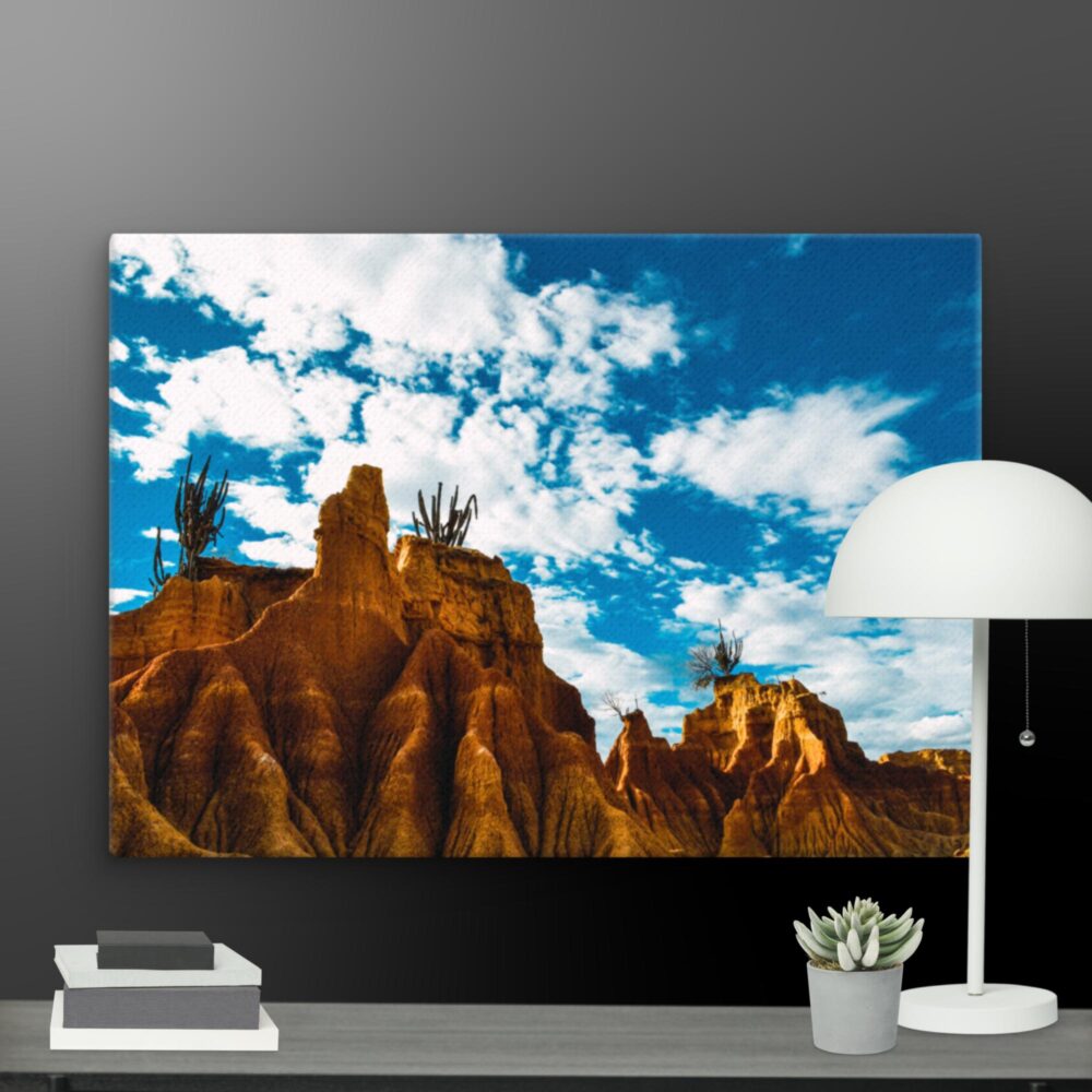 In the desert canvas - Image 11