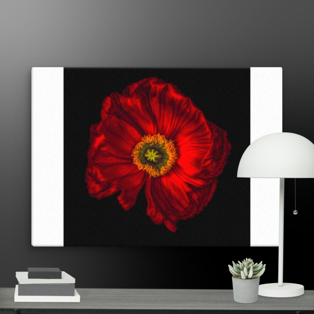 Red flower canvas - Image 11