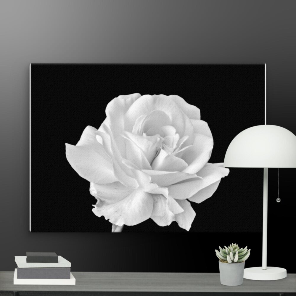 White rose canvas - Image 11